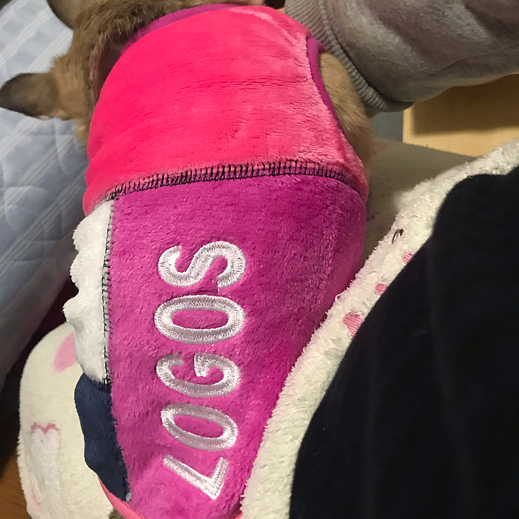 年末に注文していたpocoの洋服が届きました😃✨セールで安かったんです🐶💕