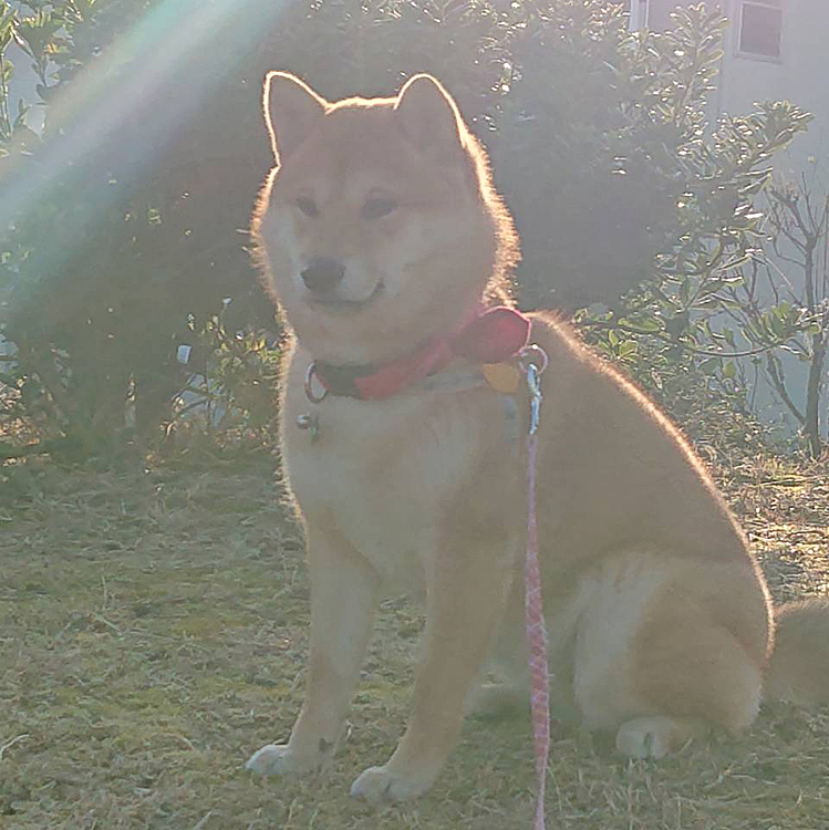 映え映えでしょ？？？