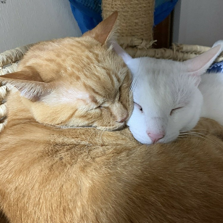 いつでも一緒。