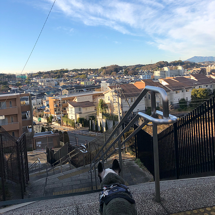 今日も良い天気❣️