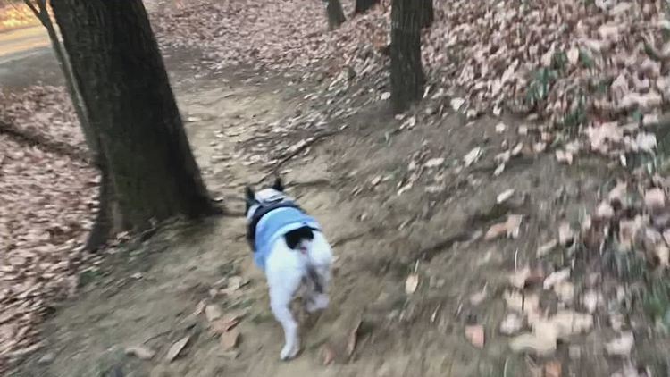 日が暮れる前に大きな公園に行って来ました😁