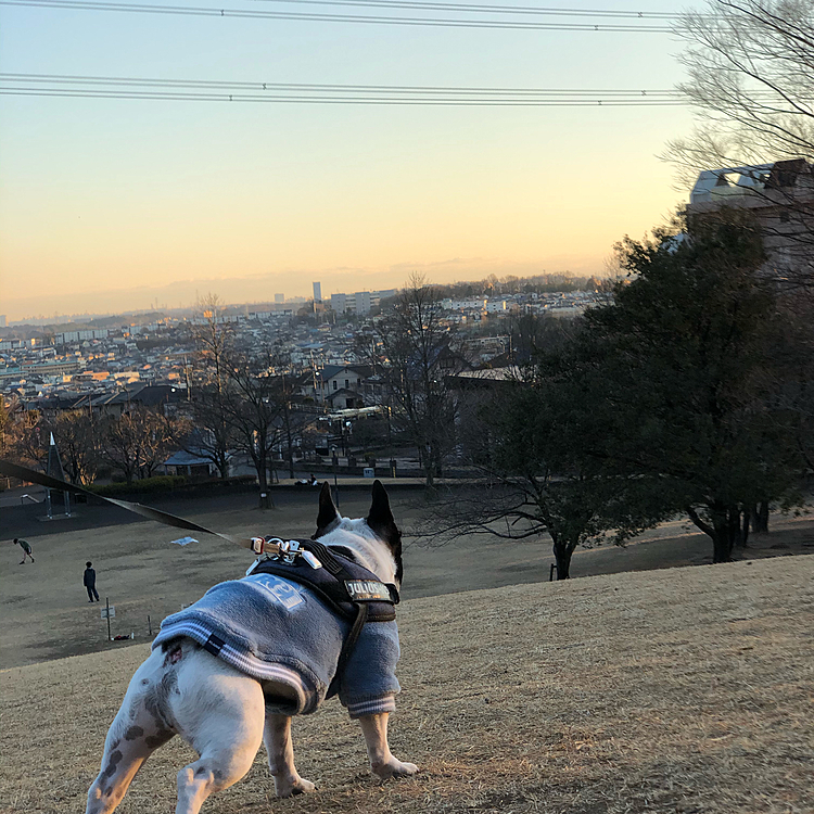 少しずつ日が伸びてますね😁