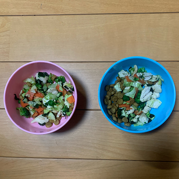 手作り料理🍳
急いでて、雑ですみません💦

あっという間にペロリと完食しました！