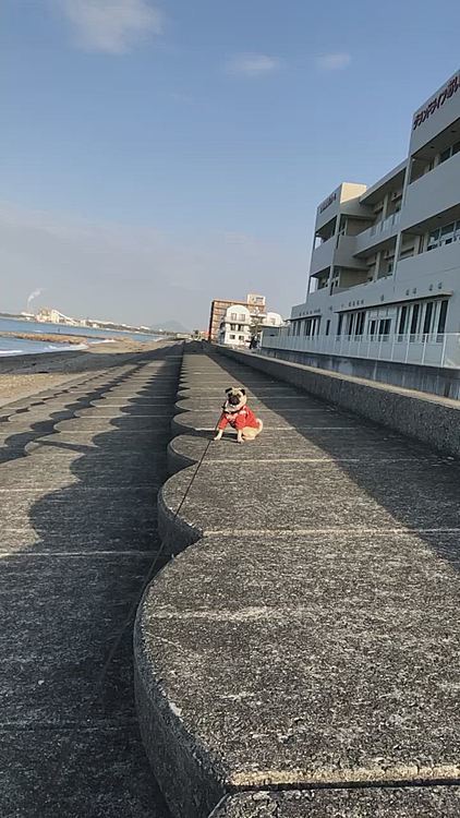 これからも元気で、幸せに過ごして欲しいです🎶