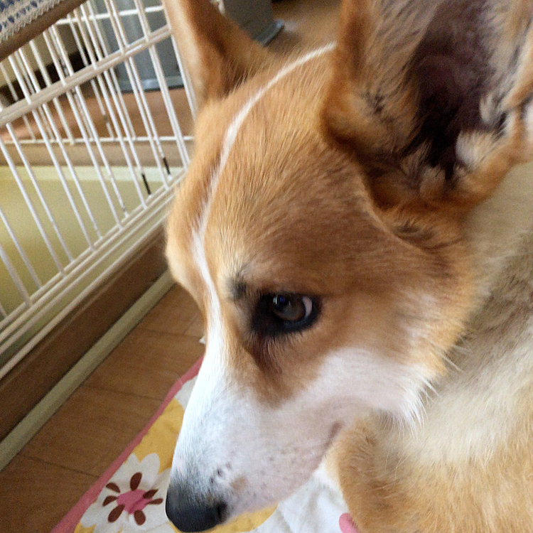そして、マッタリモード❤️
今日は暖かいね😍