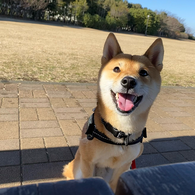 楽しみにしてるのに忘れてごめん💦
お家に帰ってからあげるね😅