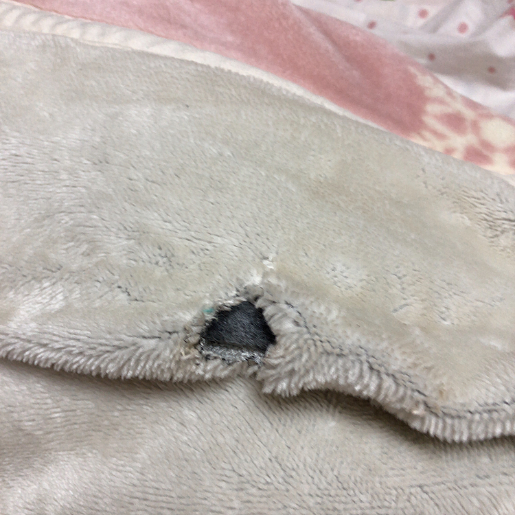 ひえーーーっ💦
毛布に穴が💦😱💦😱
よく考えたら、数日前じーちゃん泊まった時に💦
まあると一緒に寝た日にカミカミして穴を開けてた模様🌀🌀🌀
やられたーっ😱🌀😱🌀