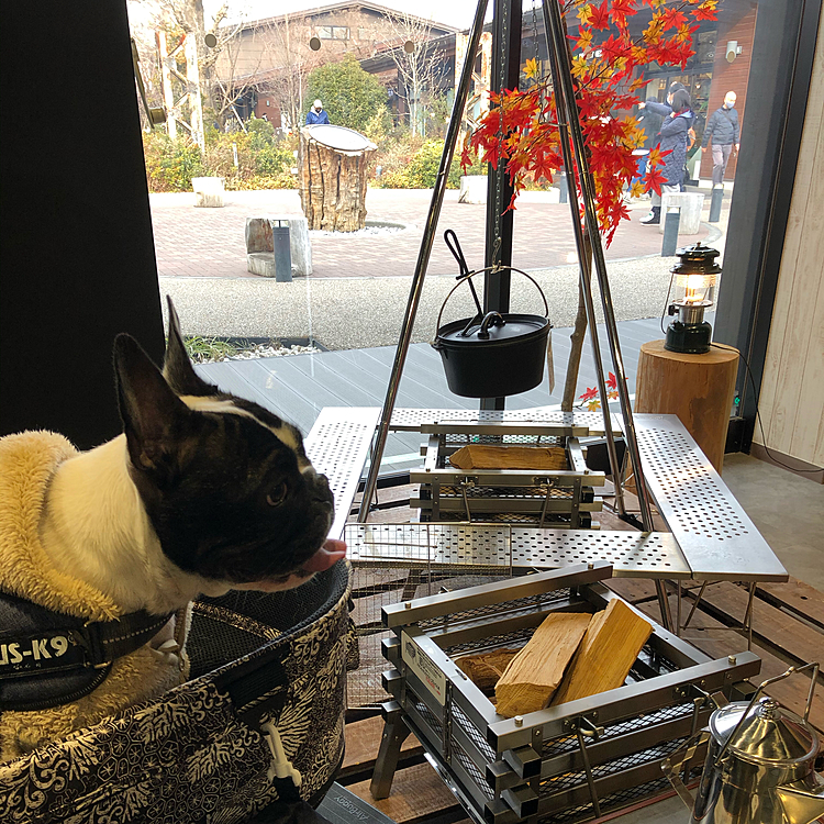 またキャンプに行くのもいいかなぁ🤔と色々物色してました🏕