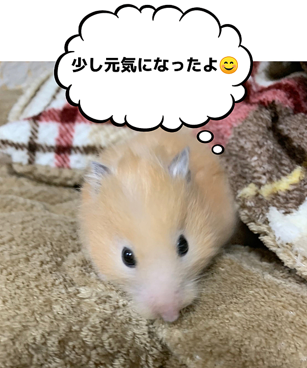 今日は少し元気になってるね💕
この調子で行ってね✨