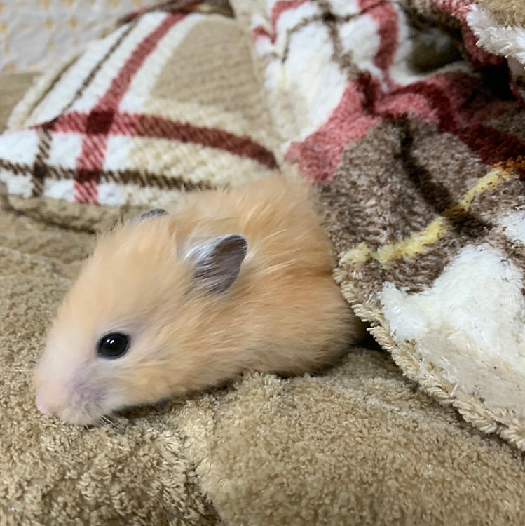 長生きしてね‼️
