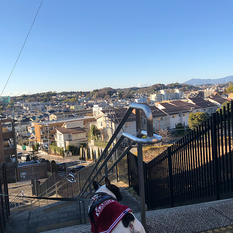 お天気は良いけど今日は気温はあまり上がらないみたいです😀