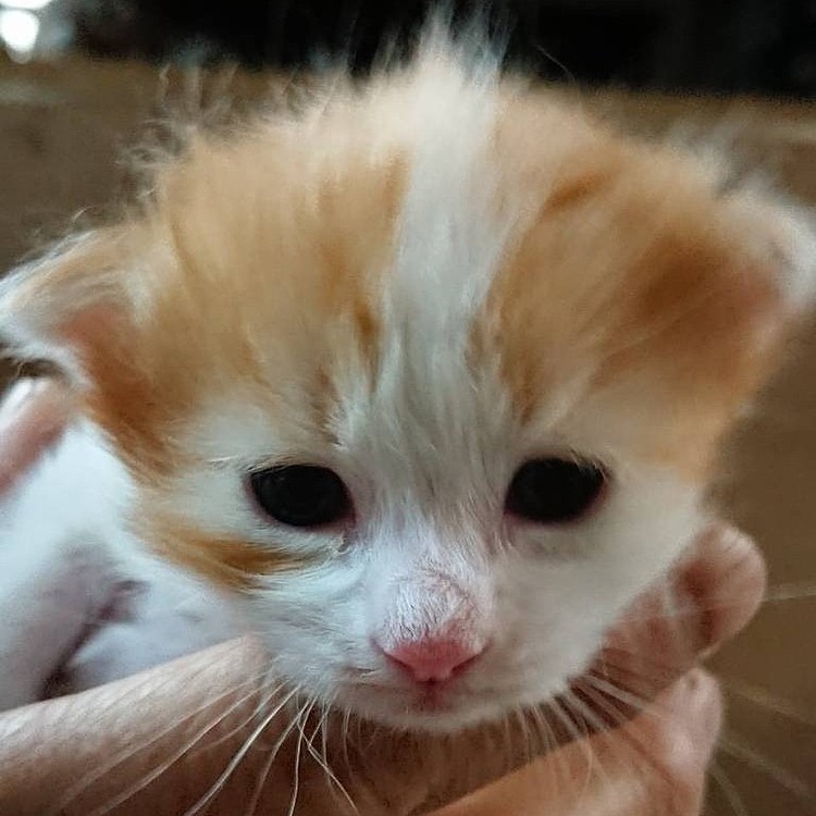 生まれた時のむんちゃん