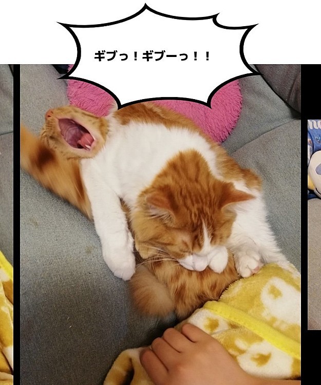 何かの技が決まってました😅