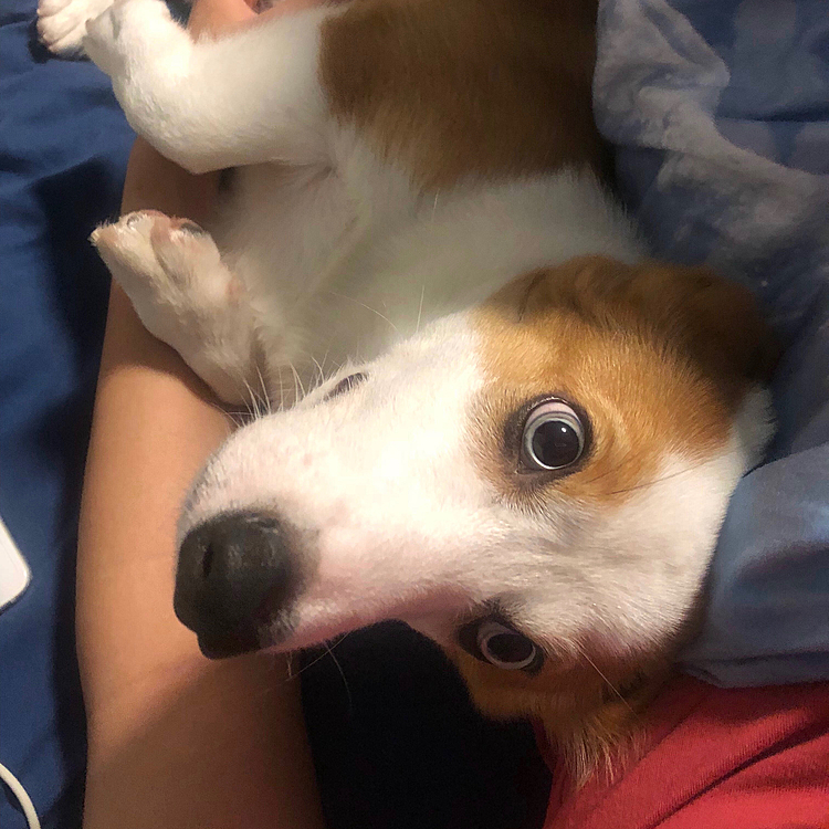 あなたが恋しいです
