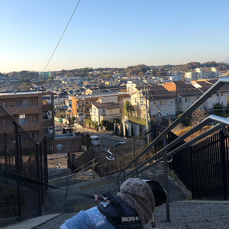 今日も街は異常なし❗️