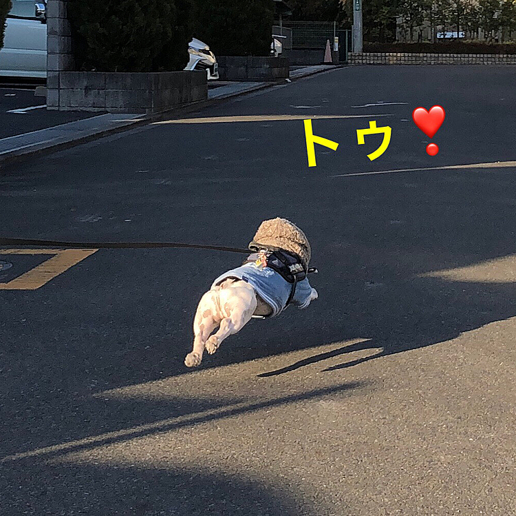 帰りま〜す😆