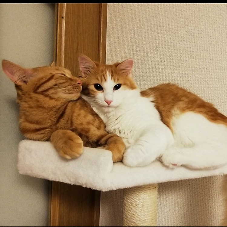 狭くない?
