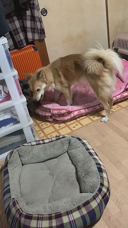 第二ラウンド😆
まだまだやりますか⁉️