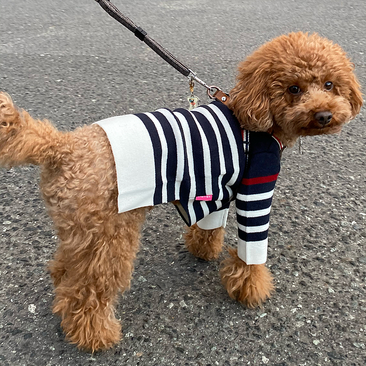 似合ってるかな⁉️