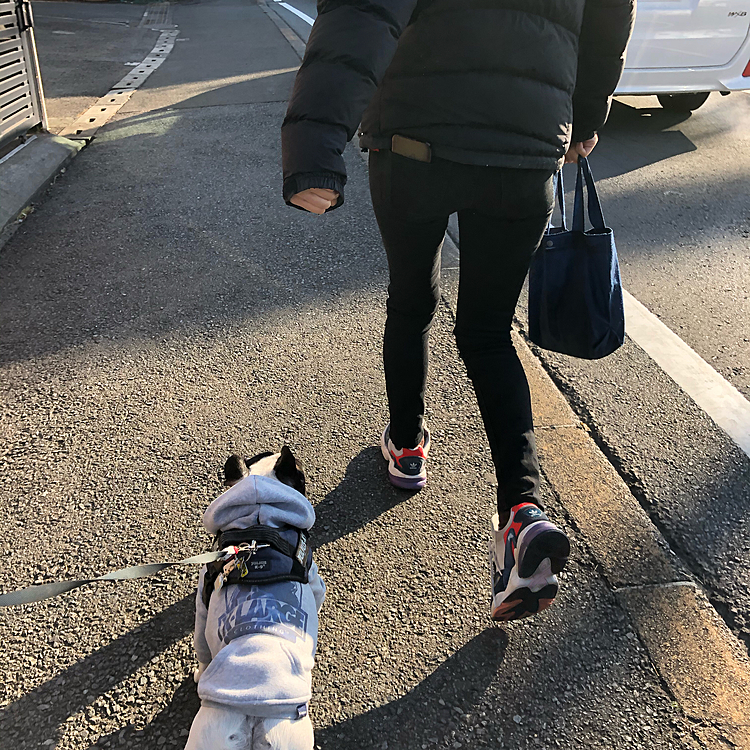 今朝のお散歩は駅に向かう娘と途中まで一緒でした😃