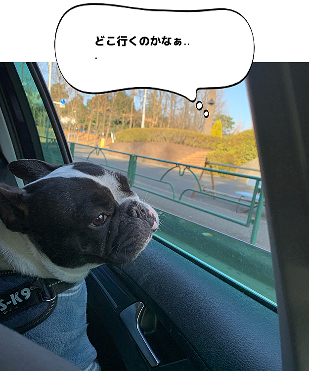 昨日の昼間、息抜きでまろを連れてコーヒー飲みに行った時です。