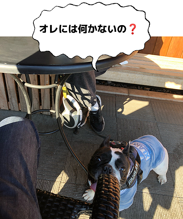 まろは持って行った水だけで不満げでした😆