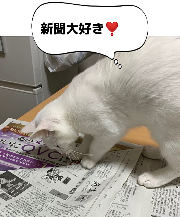 新聞読ませて…😅