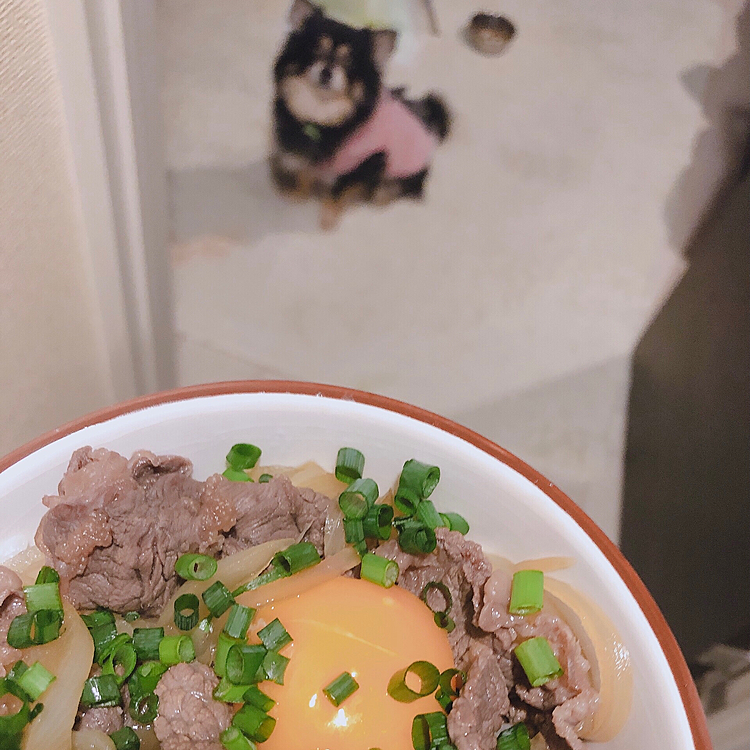 
こんばんわ🌃

牛丼を見つめるとらくん🐯
ぼくも食べたいと大騒ぎでございます🤣🔆

わたしは小さい頃からお肉が苦手なのですが
最近花嫁修業として肉料理も頑張って作ってます🤣💦

でも普段食べないせいで美味しく作れてるのか失敗なのかすら
よくわかりません💦

合ってるのか不安、、、


