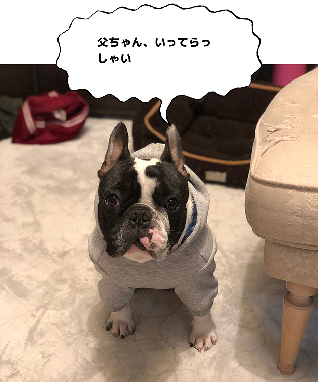 未だ誰も起きてこないので、まろだけ見送ってくれました😆