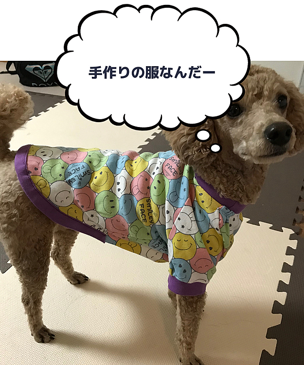 母ちゃんの友達が僕のために作ってくれた服なんだ😄