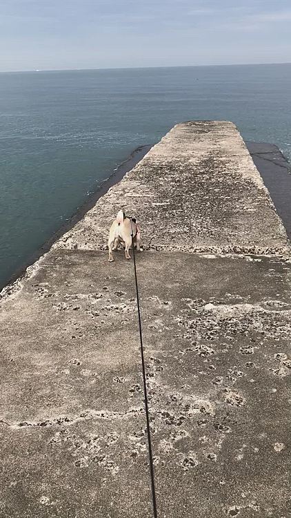 海🌊を覗いたり…
