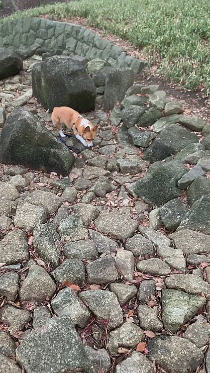 マーチさん頑張りました💓
エラいエラい👏
