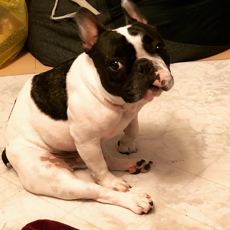 これは先日の写真ですが、この座り方楽なのでしょうか❓😅