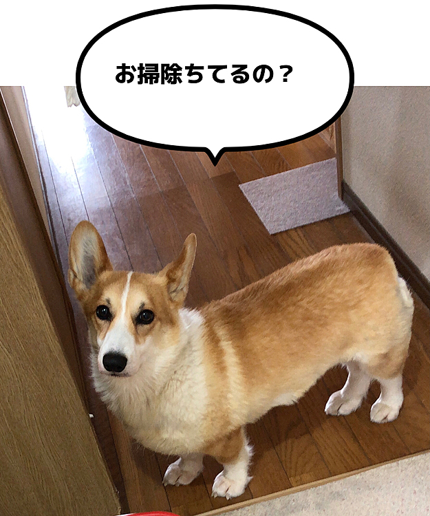 洗面台のお掃除を待つ男😊
ジーッ💦