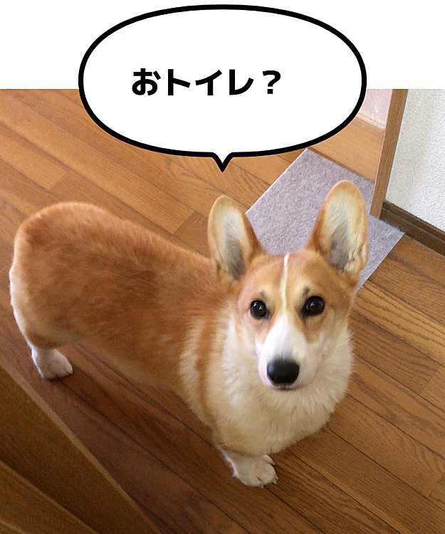 トイレの出待ちをする男😊
ジーッ💦