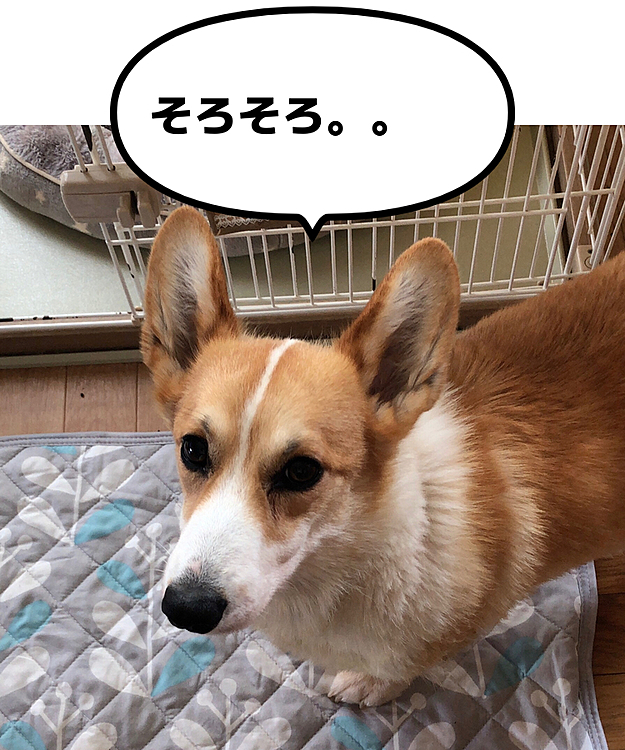 そろそろ遊べってか？😊
遊び待ち？する男？😊
ジーッ💦