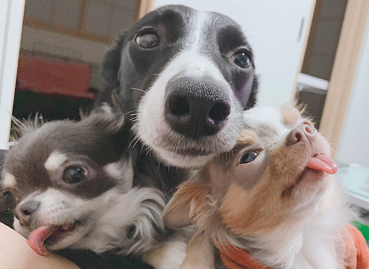 Family♡