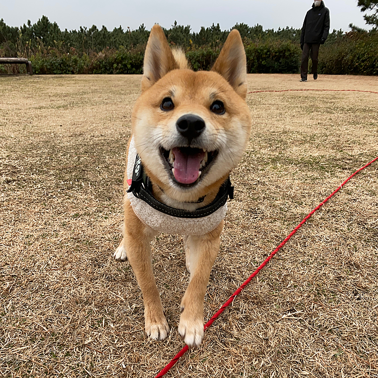2021.01.28
大きな公園に行ってきました😊
