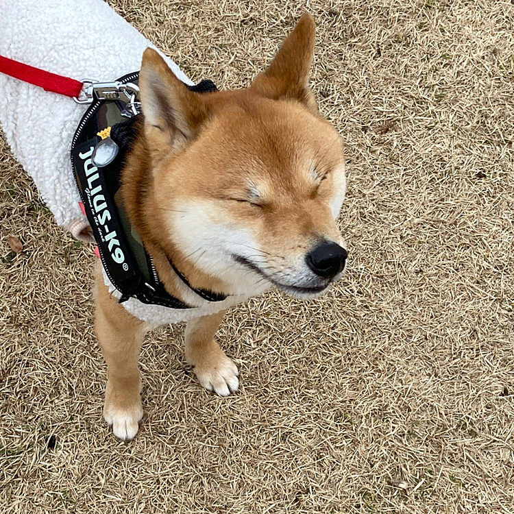 今日はめちゃめちゃ寒かったです😱
お昼頃から雨☔️の予報だったのですが、帰ろうとした11時頃からポツポツ雨が💦
