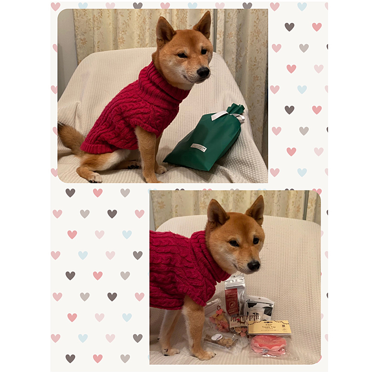 バレンタイン用に注文していたおやつ🍪🍬が届きました❤️
ハート💓の形がかわいい👍🏻✨