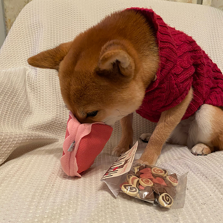 マカロンの形のものは中におやつを入れて遊びながら食べるおもちゃです😆🍪🍭