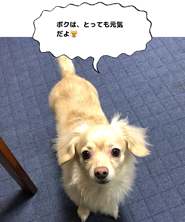 ご無沙汰してます！
私事ですが、同居義母が、何とか歩けたけど歩けなくなり、ショートステイを利用し施設の空きを待ってました。10日程前に連絡が来て、先日無事入所してくれました😊
同時に、実家で一人暮らしの父親が糖尿病の検査入院が必要と言われ、私の出来る準備は終わり、来週連れて行きます😊また母親も入院しており、リモート面会が出来るので連れて行けと😅月曜に予約を取り連れて行きます😊他に私の祖母が105歳🤩施設にいるのですが、父親が窓口なので私宛にと連絡したり…　