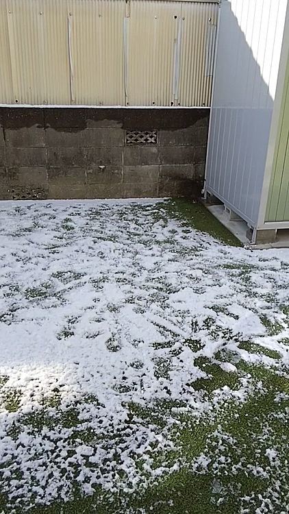 時々、雪食べてます😅