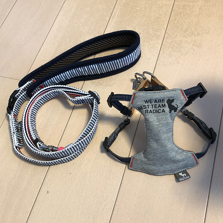 注文していたハーネスとリードが届きました😊