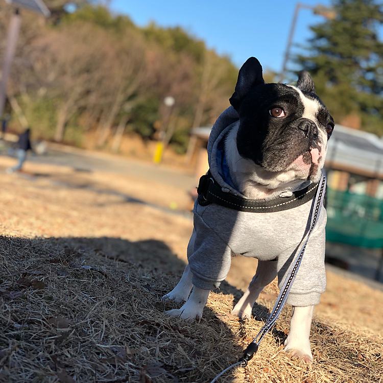 今日は良いお天気で大きな公園に行って来ました😀