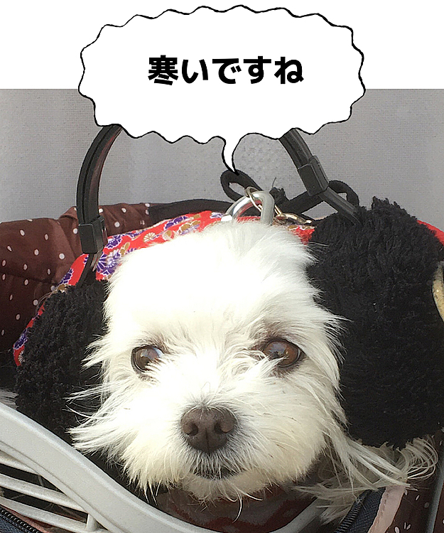ココの母の投稿