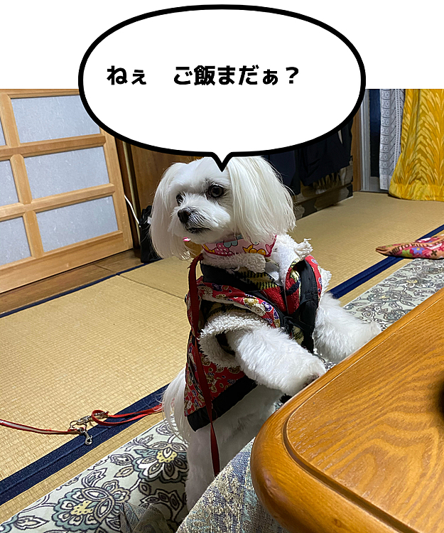 ココの母の投稿