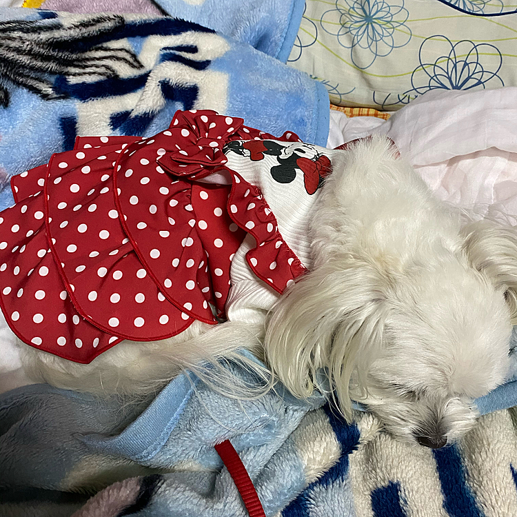 折角のワンピースなのに
こっち向いてよ〜💦