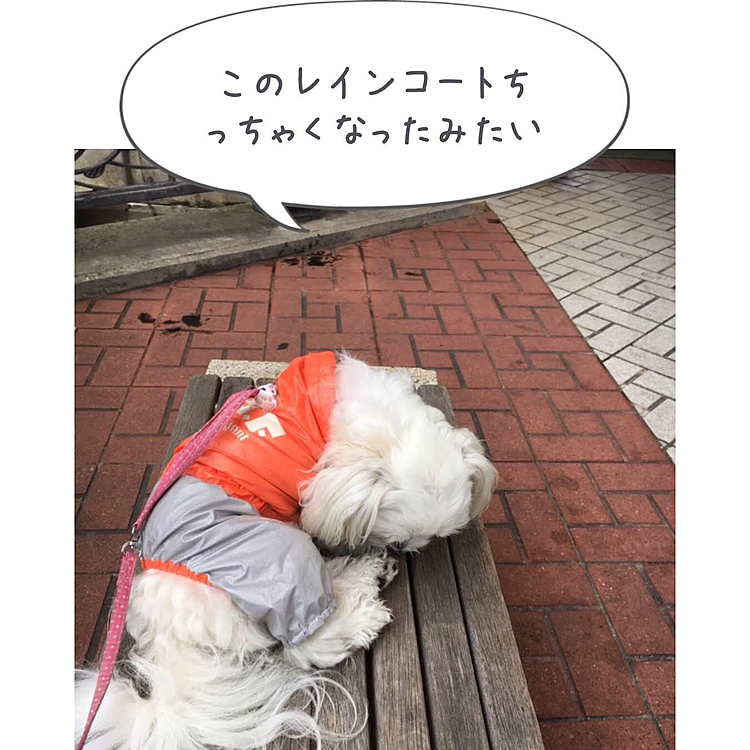 ココがおっきくなったのに気づいて無いのかも😅
