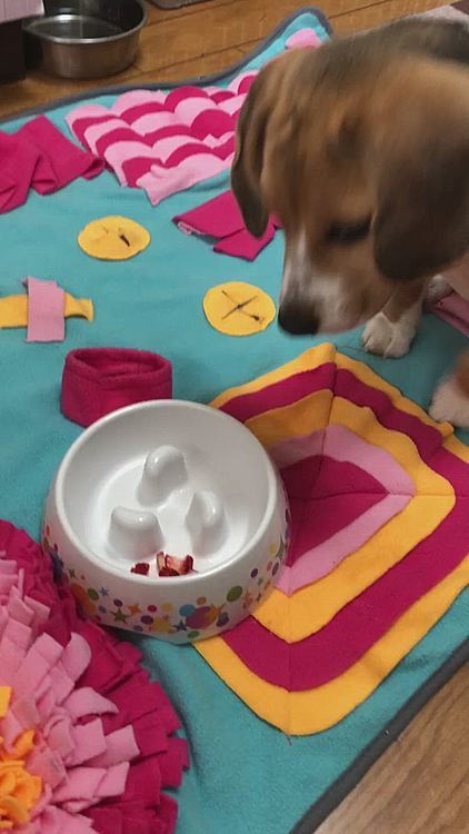 初めての苺🍓をあげたら普通にペロリ🐶😋食べちゃった❣️
小さい苺を半分だけ😄
お腹大丈夫かなぁ⁉️😅